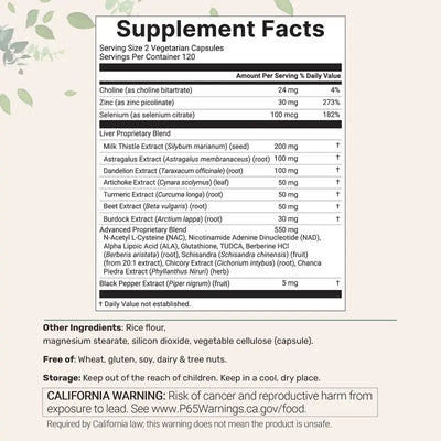Liver+ Advanced